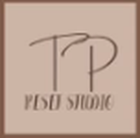 TP Reset Studio logo